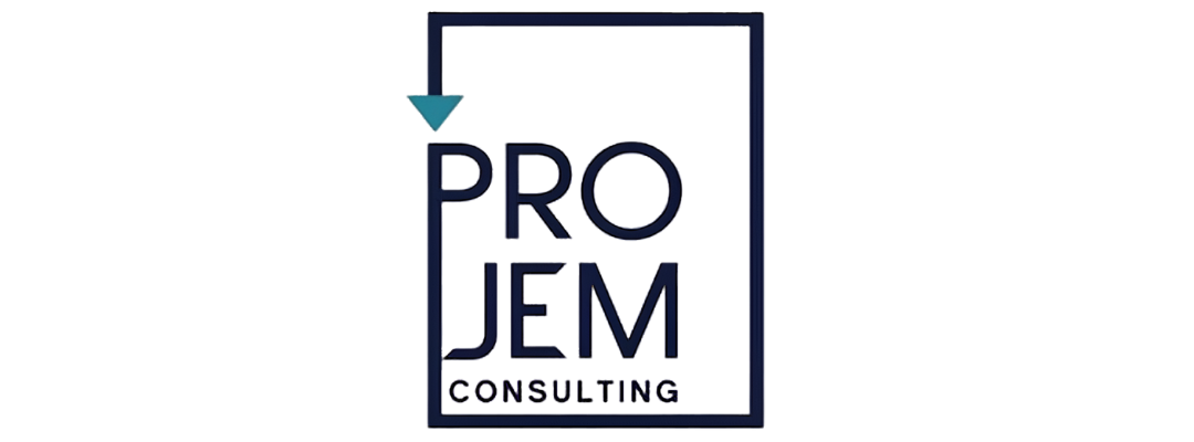 Projem Consulting